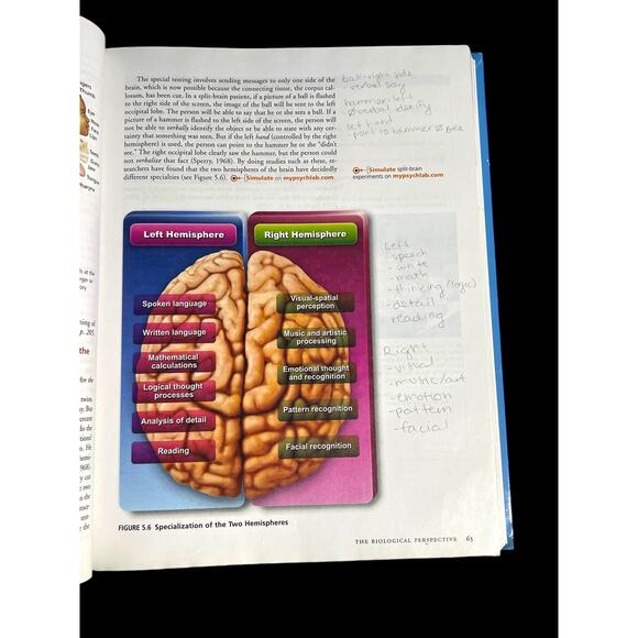 Prentice Hall Psychology Textbook by Minter & Elmhorst College Intro Psych Book - Picture 7 of 11